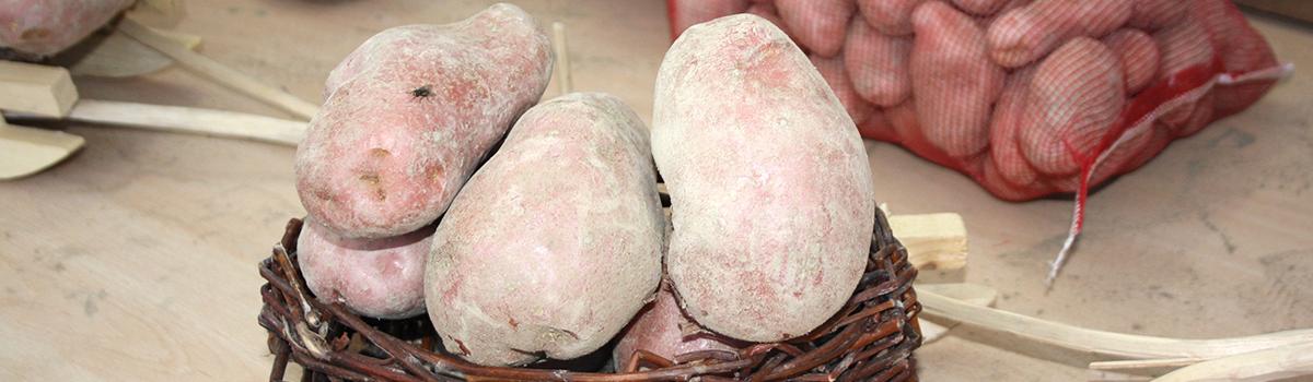 Immagine di patate rosse della Val Metauro