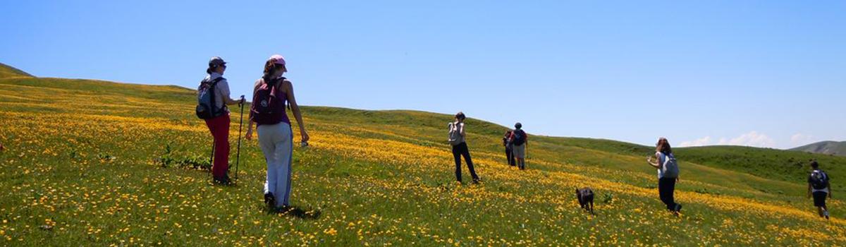 Immagine di escursionisti sul Monte Nerone