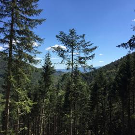 Immagine del Parco Nazionale delle Foreste Casentinesi