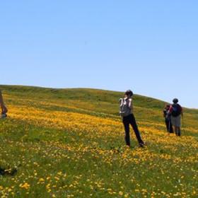 Immagine di escursionisti sul Monte Nerone